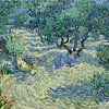 Olivenhain - Vincent van Gogh