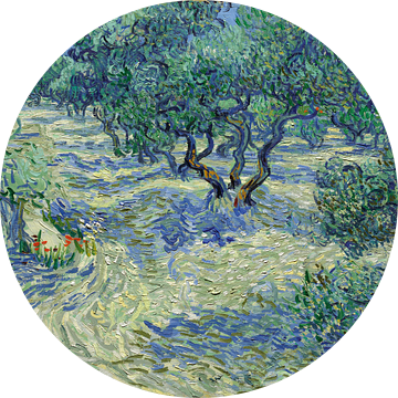 Vincent van Gogh. Olijfboomgaard