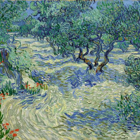 Vincent van Gogh. Olijfboomgaardvan 1000 Schilderijen