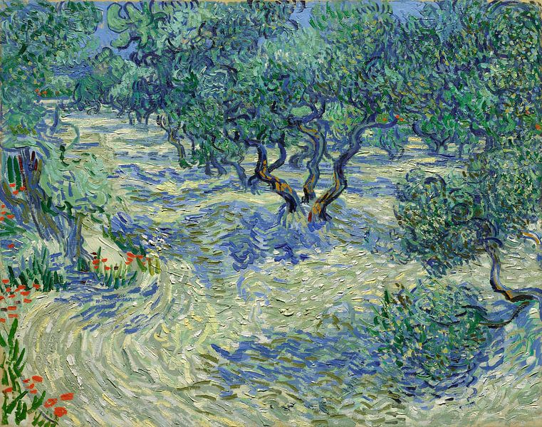 Olivenhain - Vincent van Gogh von 1000 Schilderijen