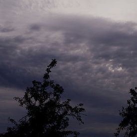 Donkere wolken van Laurens Rijswijk
