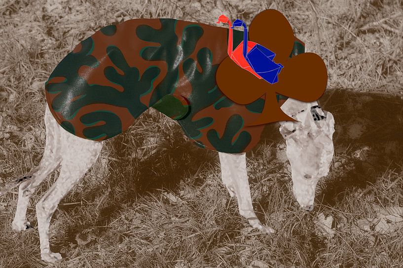 Rotkäppchen von True Color Stories