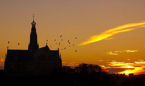 Sunrise in Haarlem