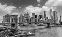 Downtown Manhattan van Ivo de Rooij thumbnail