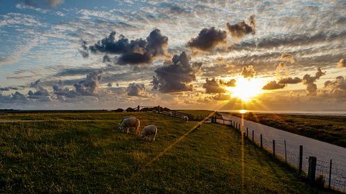 Sonnenuntergang auf dem Deich