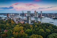 Herbst in Rotterdam von Rob de Voogd / zzapback Miniaturansicht