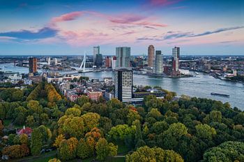 Herbst in Rotterdam