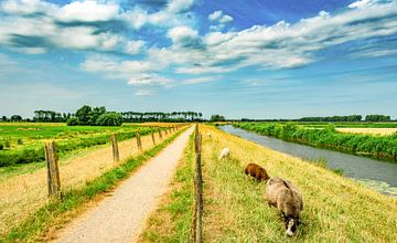 Landschap 17 van Domenique van der Horst