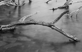 Parc national de Killarney (Irlande)