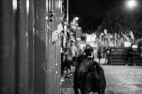 Bullfight