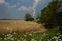 Kerncentrale Doel
