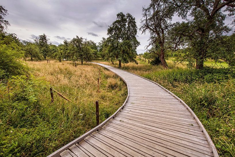Garden Alden Biezen by Rob Boon