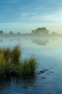 Strabrechtse Heide 146