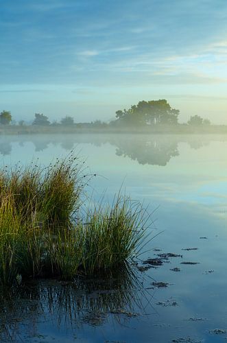 Strabrechtse Heide 146