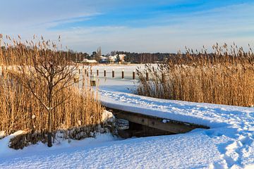Winter on a lake van Rico Ködder