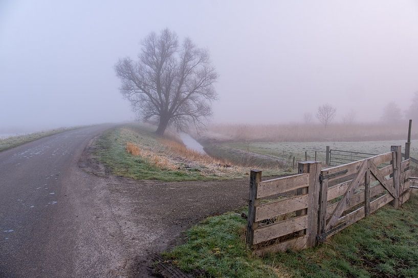 Nebliger Morgen in der Holle Mare von Annemieke Klijn
