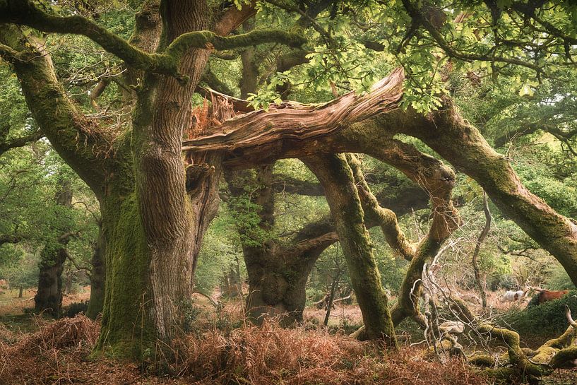 Broken but not dead by Loris Photography