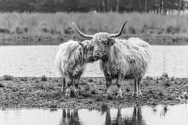 Mother and child in black and white by Ans Bastiaanssen
