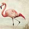 Flamingo au bord de l'eau Soft Pink Grace in Vintage Styling sur Eva Lee