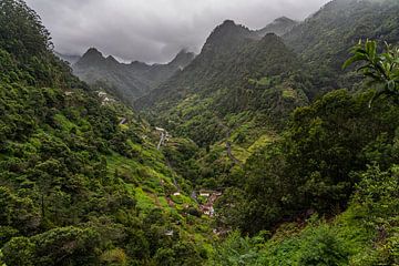 Village in Madeira's misty and green mountains