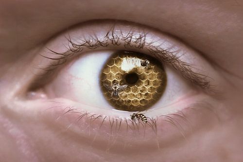 Betoverend Oog met Honingraat Iris en Bijen: Een Surrealistische Visie