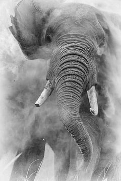 Alerte aux éléphants sur Peter Geraerdts Wildlife Photography