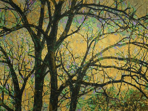 Zonsondergang aan de rand van het bos.