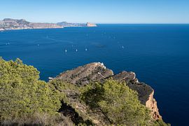 Green mountain slope in the Sierra Helada Natural Park by Adriana Mueller
