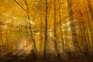 Éclat d'automne