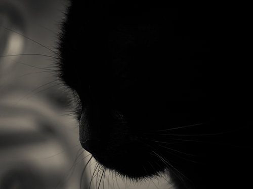 Just thinking....hard!