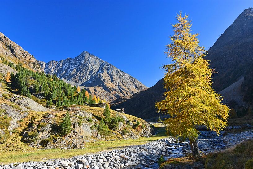 Colourful autumn day in the Stubai Alps by Andreas Föll