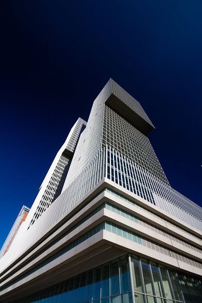 The Rotterdam towers tightly up in the sunlight by Thijs Schouten