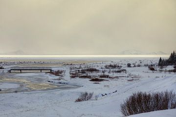 Nationaal Park Thingvellir op IJsland in de sneeuw. van André Blom Fotografie Utrecht