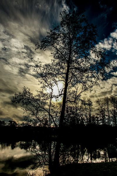 Gavers bij storm by Ronald De Neve