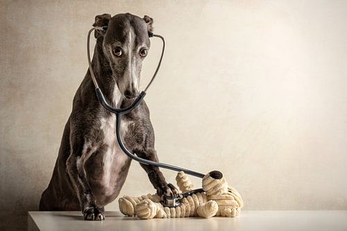 Puppendoktor von Nuelle Flipse