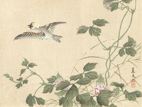 Wegvliegende vogel bij klimplant met roze bloemen van Matsumura Keibun - 1892