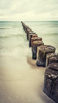 Buhnen der Ostsee
