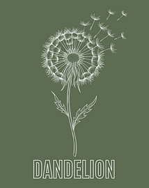 Minimalistisches Poster mit einer Strichzeichnung einer Löwenzahnblüte von moveit store