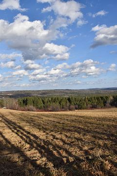 Ein Feld nach der Herbsternte von Claude Laprise