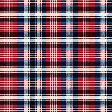 Vintage Plaid # XXII by Whale & Sons