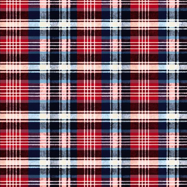 Vintage Plaid # XXII by Whale & Sons