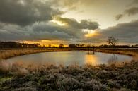 Pingo in het Brunstingerveld van Arie Flokstra Natuurfotografie thumbnail