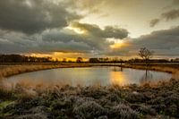 Pingo in het Brunstingerveld