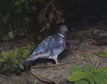 Pigeon (La colombe) sur Anonymous Art