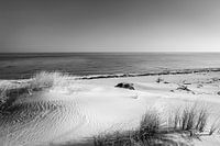 Dünen und das Meer in schwarz weiß