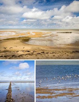 Rêves de mer : paysage de wadden sur l'île de Sylt sur Christian Müringer