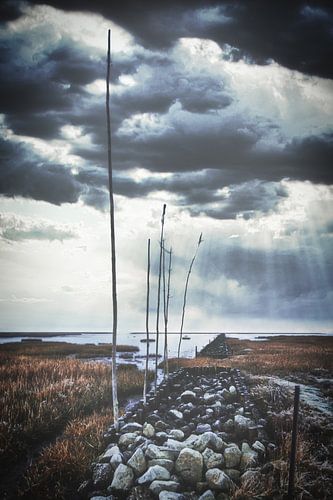 Tussen storm en kalmte - landschap aan zee