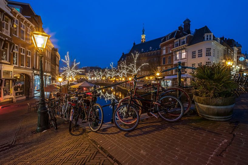 Stadgezicht Leiden van Henk Verheyen