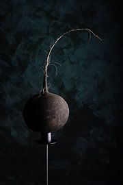 Vergessenes Gemüse Rammenas auf einem Sockel