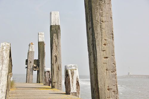 Texel Zeezicht 018
